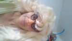 20160520_125929.jpg