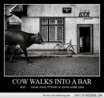 cow-walks-into-a-bar.jpg