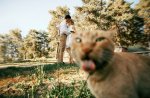 funny-cat-photobombs-56-58e60f5d64fa4__605.jpg