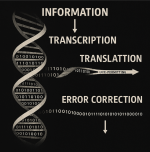 Screenshot 2026-01-17 231009.png