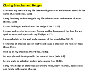 Closing Breaches and Hedges.png